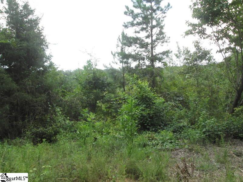 246 Johnson Road Laurens, SC 29360 - Photo 3 of 7