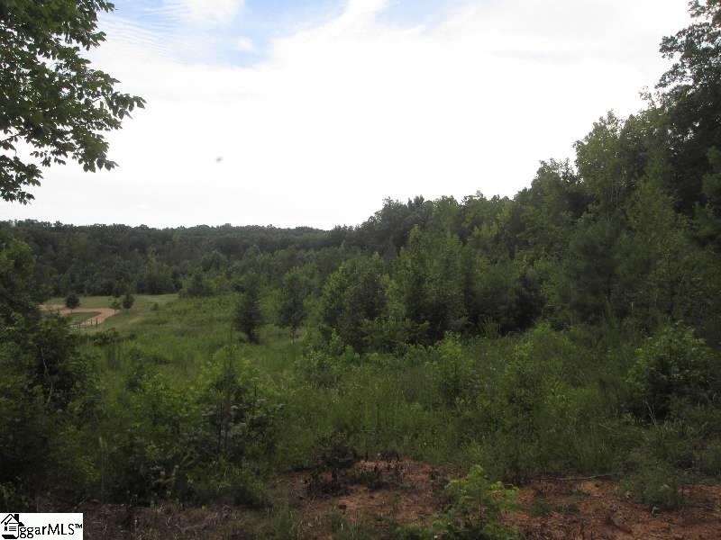 246 Johnson Road Laurens, SC 29360 - Photo 5 of 7