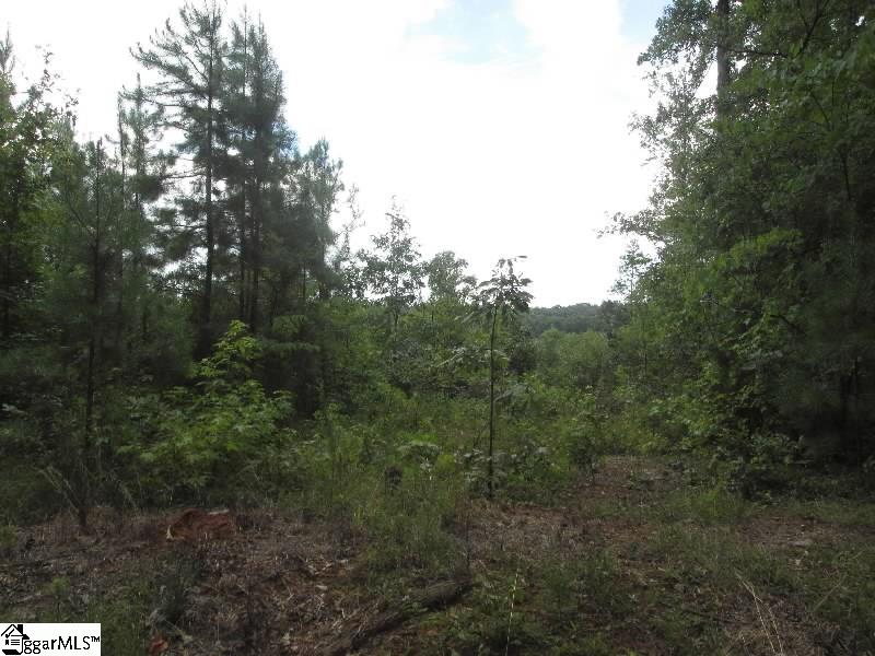 246 Johnson Road Laurens, SC 29360 - Photo 7 of 7