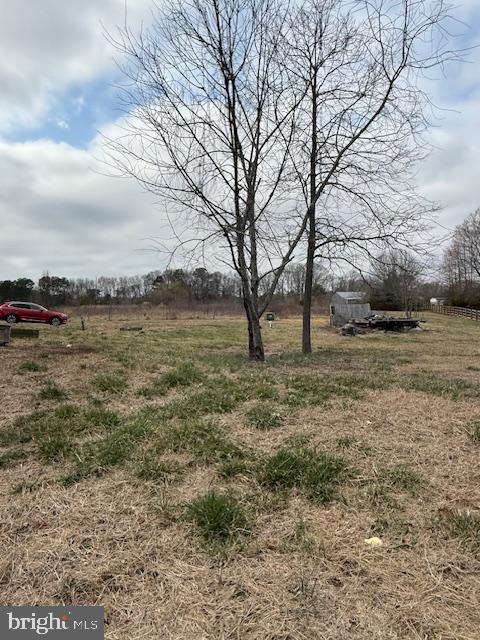 21365 Canoe Neck Way Abell, MD 20606 - Photo 21 of 23 a view of a field with lots of trees