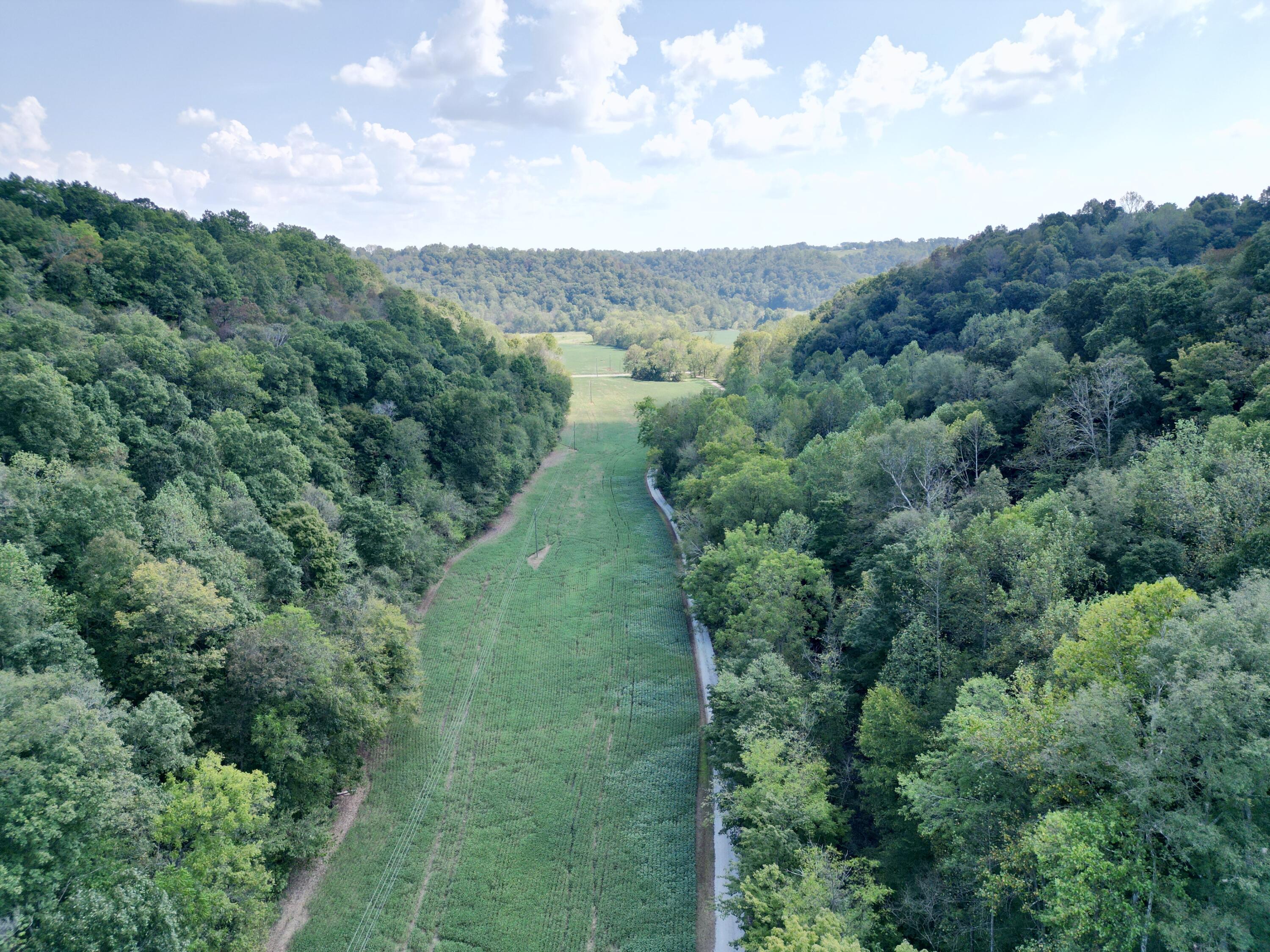 690 Ansel Road Science Hill, KY 42553 - Photo 4 of 78 dji_fly_20260916_112130_761_178958280011