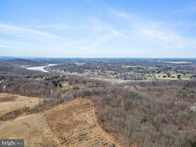 a view of a dry yard