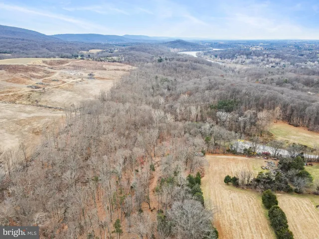 an aerial view of houses covered in trees