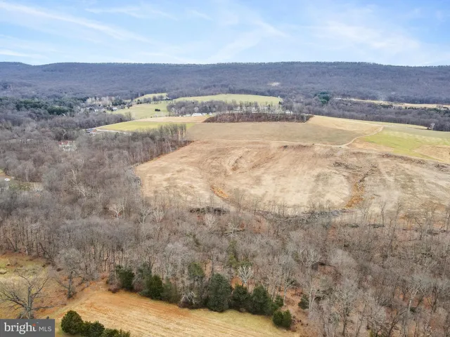 an aerial view of houses covered in trees