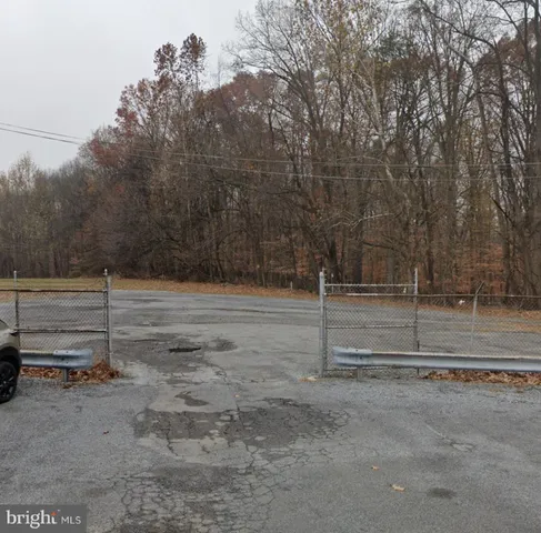 a view of open space with lots of trees