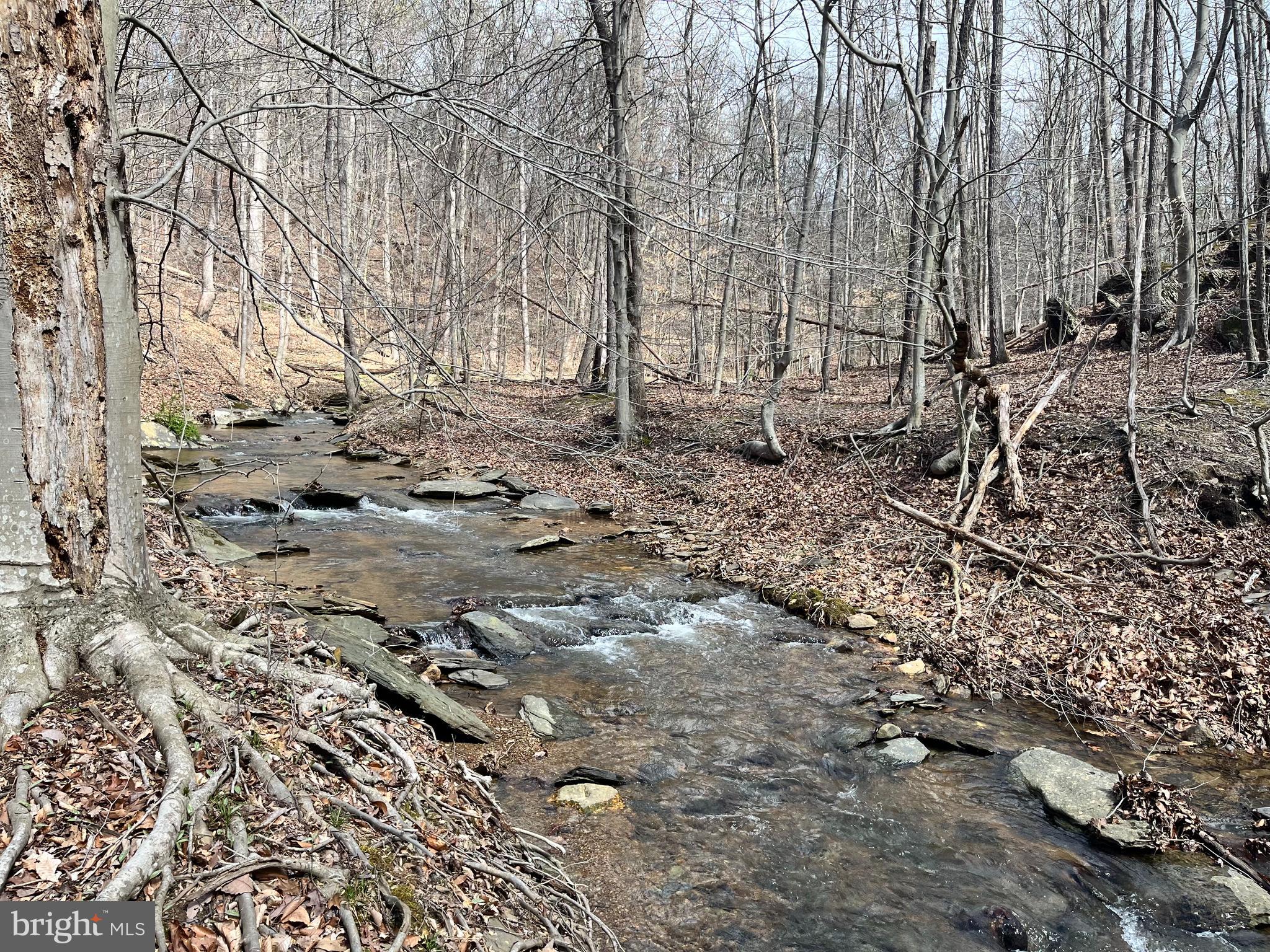 Lot #1 Dargan School Road Sharpsburg, MD 21782 - Photo 35 of 35 a view of open space with lots of trees
