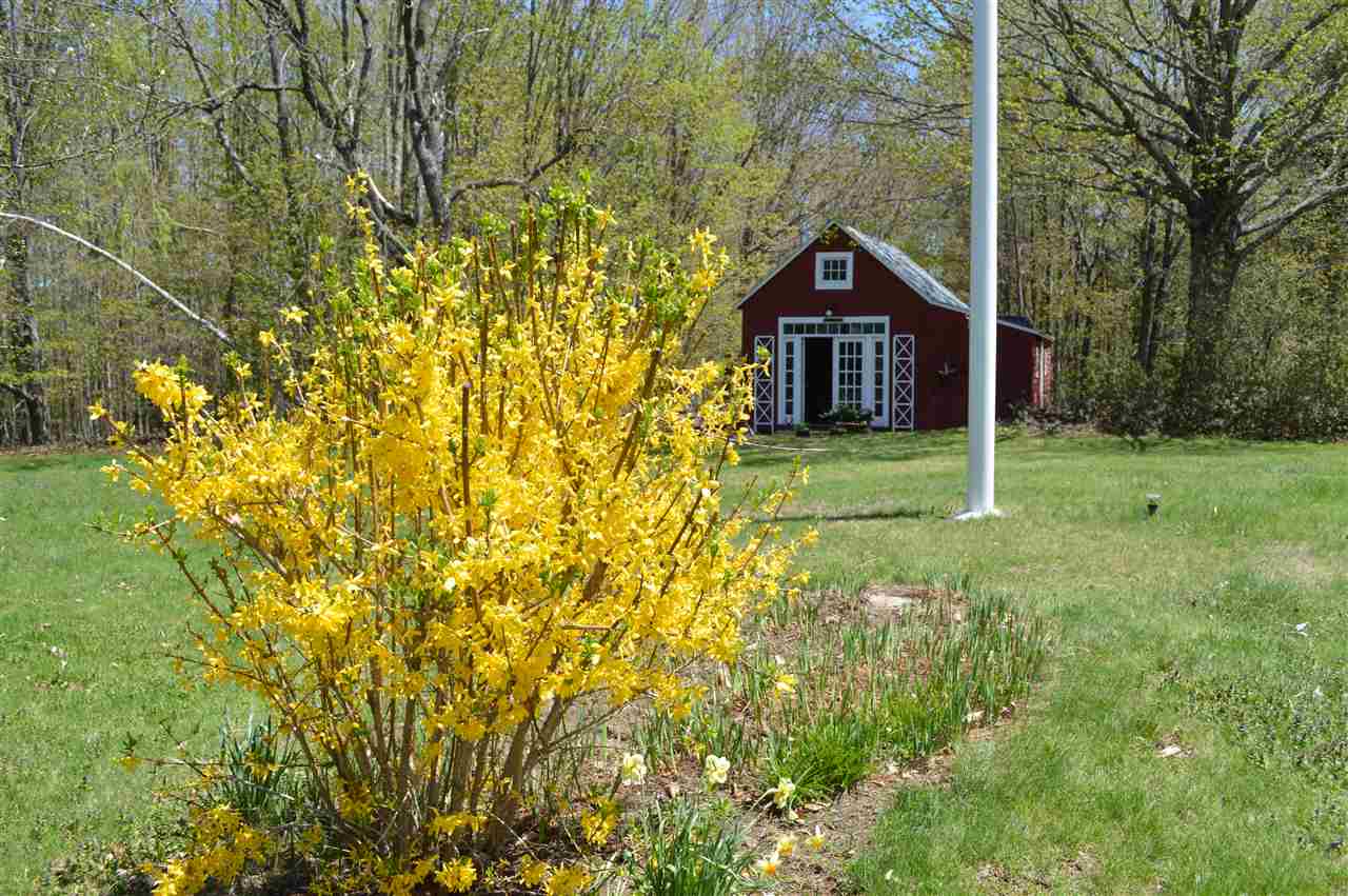 241 Grapevine Road Dunbarton, NH 03046 - Photo 9 of 24