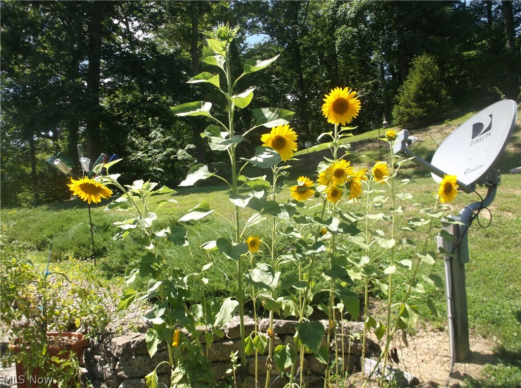 59856 Patch Road New Concord, OH 43762 - Photo 28 of 32 Gallery Image 28