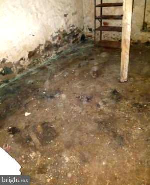 2225 Annapolis Road Baltimore, MD 21230 - Photo 2 of 17 Basement