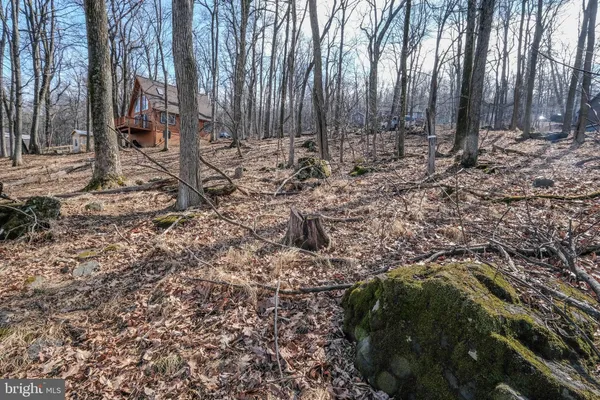 a view of livingroom with furniture and windows