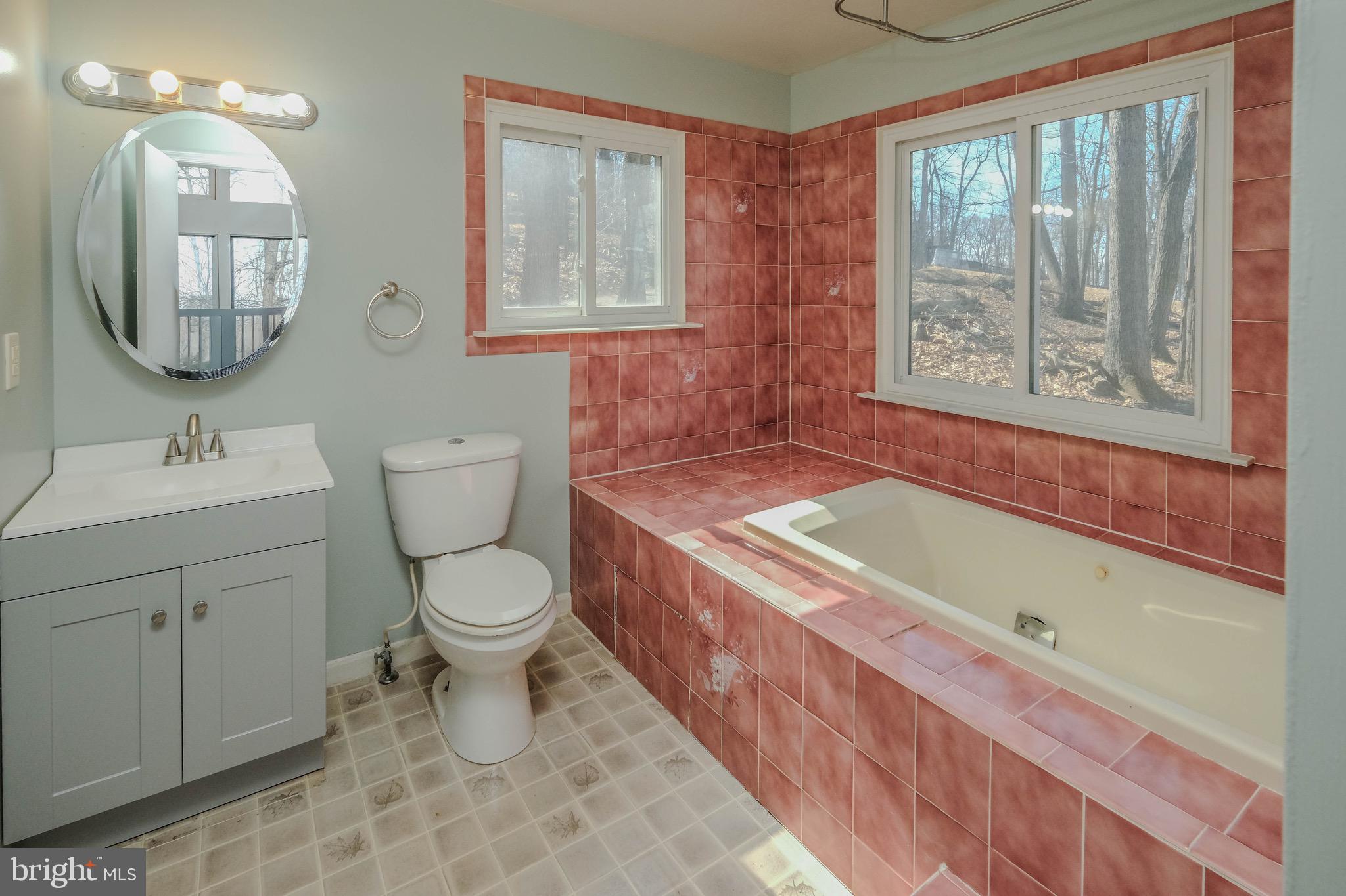 59 Alpine Drive Front Royal, VA 22630 - Photo 32 of 82 a bathroom with a sink a toilet and bathtub