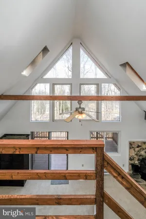 a view of a backyard with large trees and wooden fence
