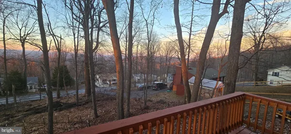a view of a yard with trees