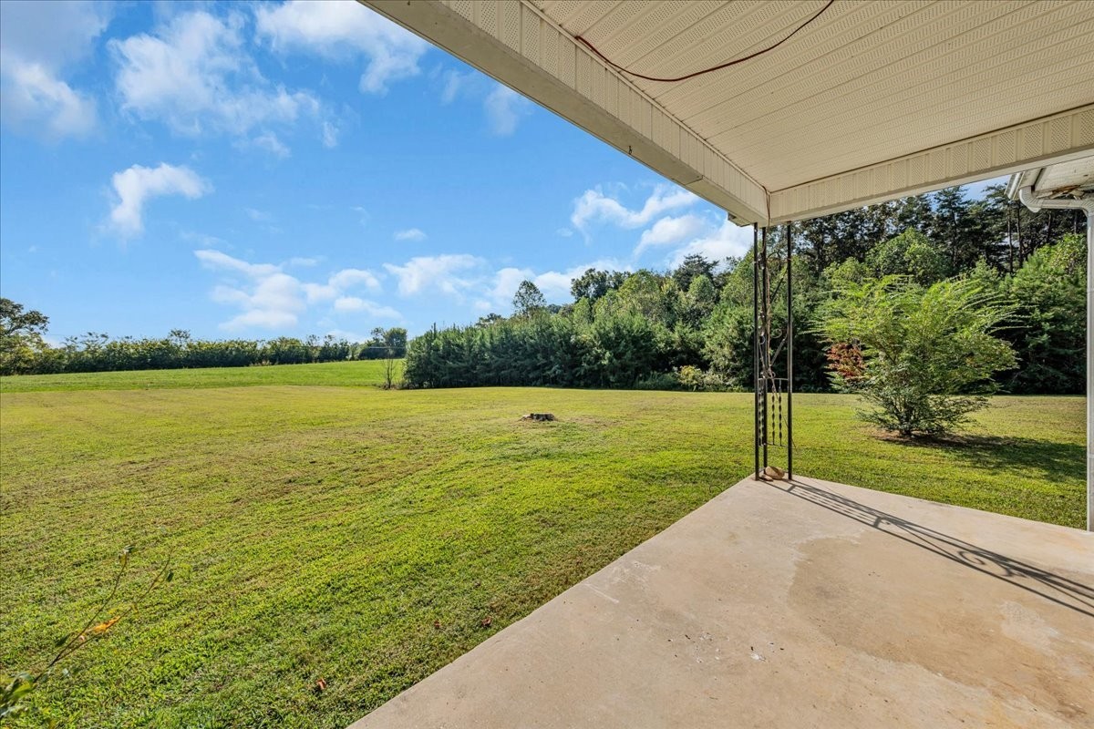 341 Rigsby Road Smithville, TN 37166 - Photo 17 of 34 a view of a yard with a palm tree