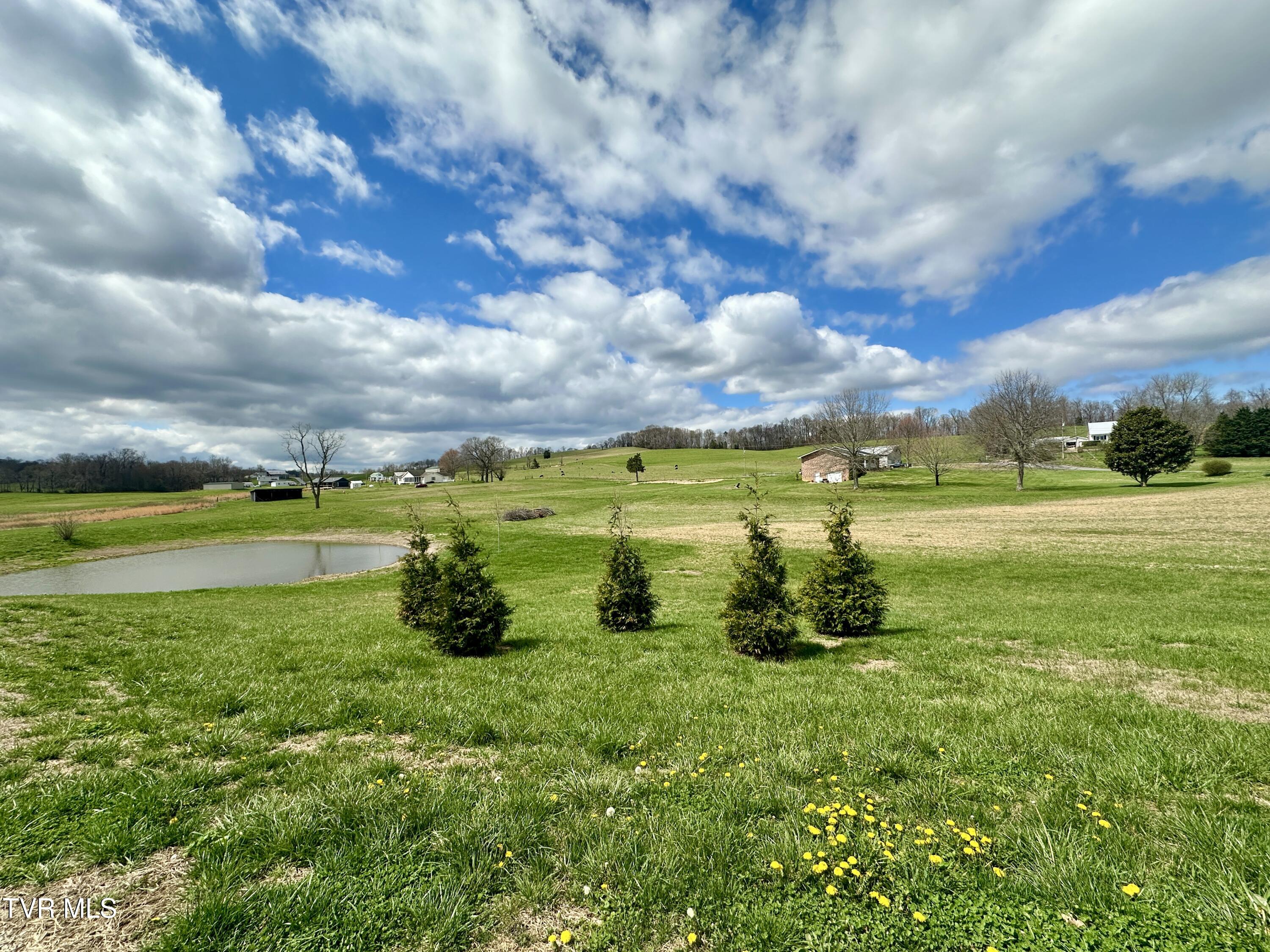 1600 Mary Lamons Road Afton, TN 37616 - Photo 68 of 89 048g