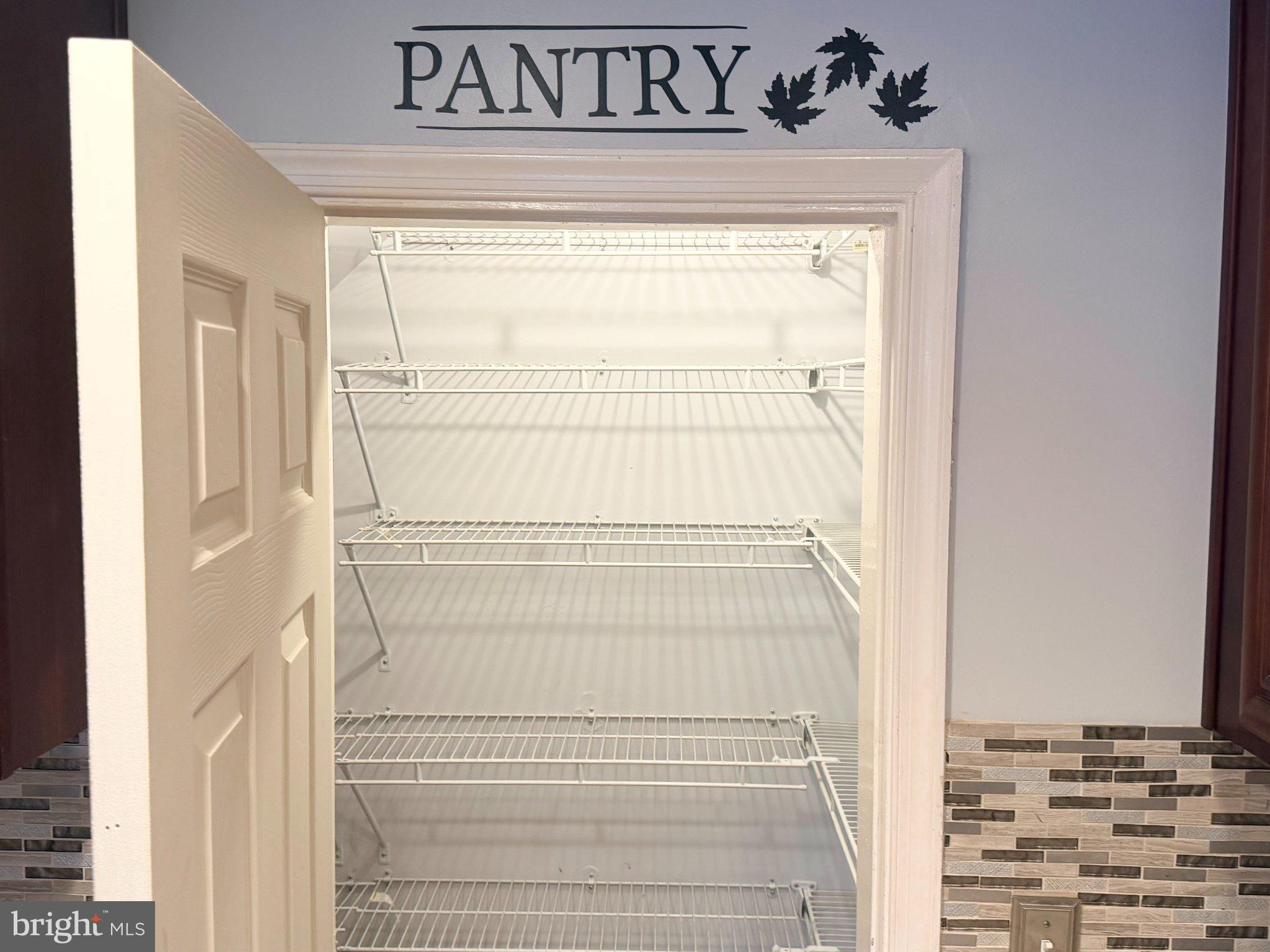1615 Burnwood Road Baltimore, MD 21239 - Photo 51 of 83 Spacious pantry ready for storage.