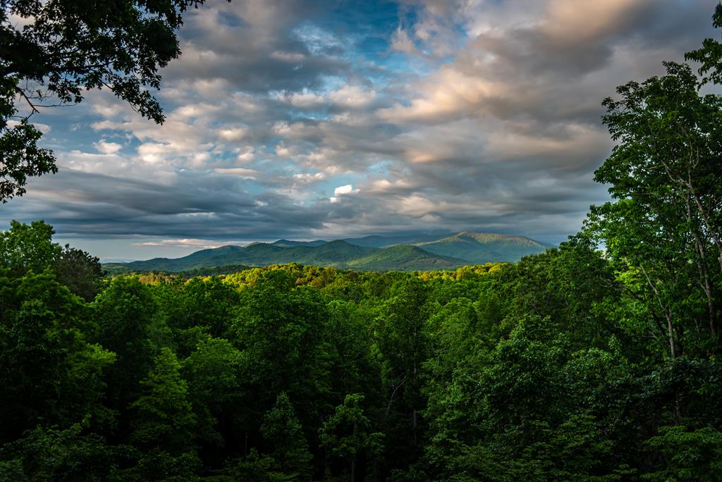 103 Talona Ridge Road Ellijay, GA 30536 - Photo 4 of 76 What A VIEW!