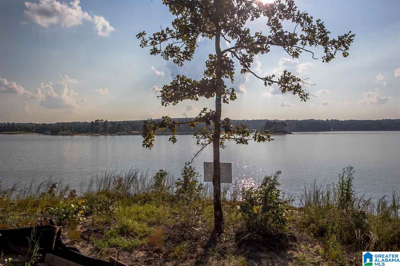 Lot 9 Sunset Drive Arley, AL 35541 - Photo 13 of 26