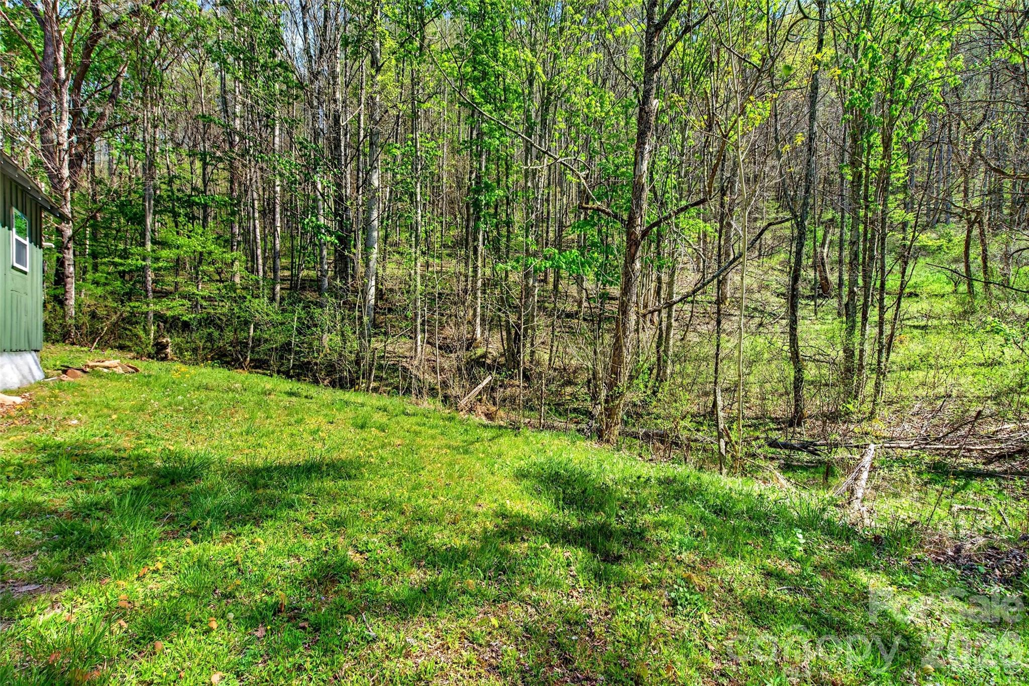 488 Cad Campbell Road Bakersville, NC 28705 - Photo 35 of 39