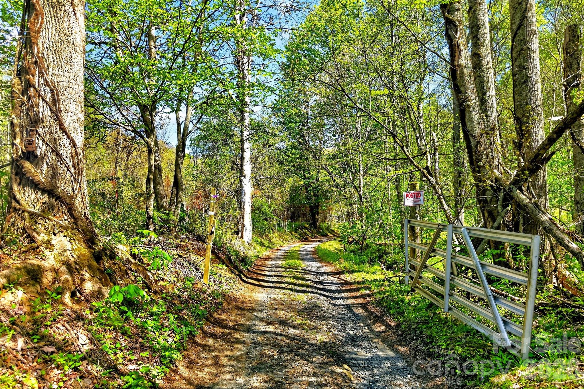 488 Cad Campbell Road Bakersville, NC 28705 - Photo 36 of 39