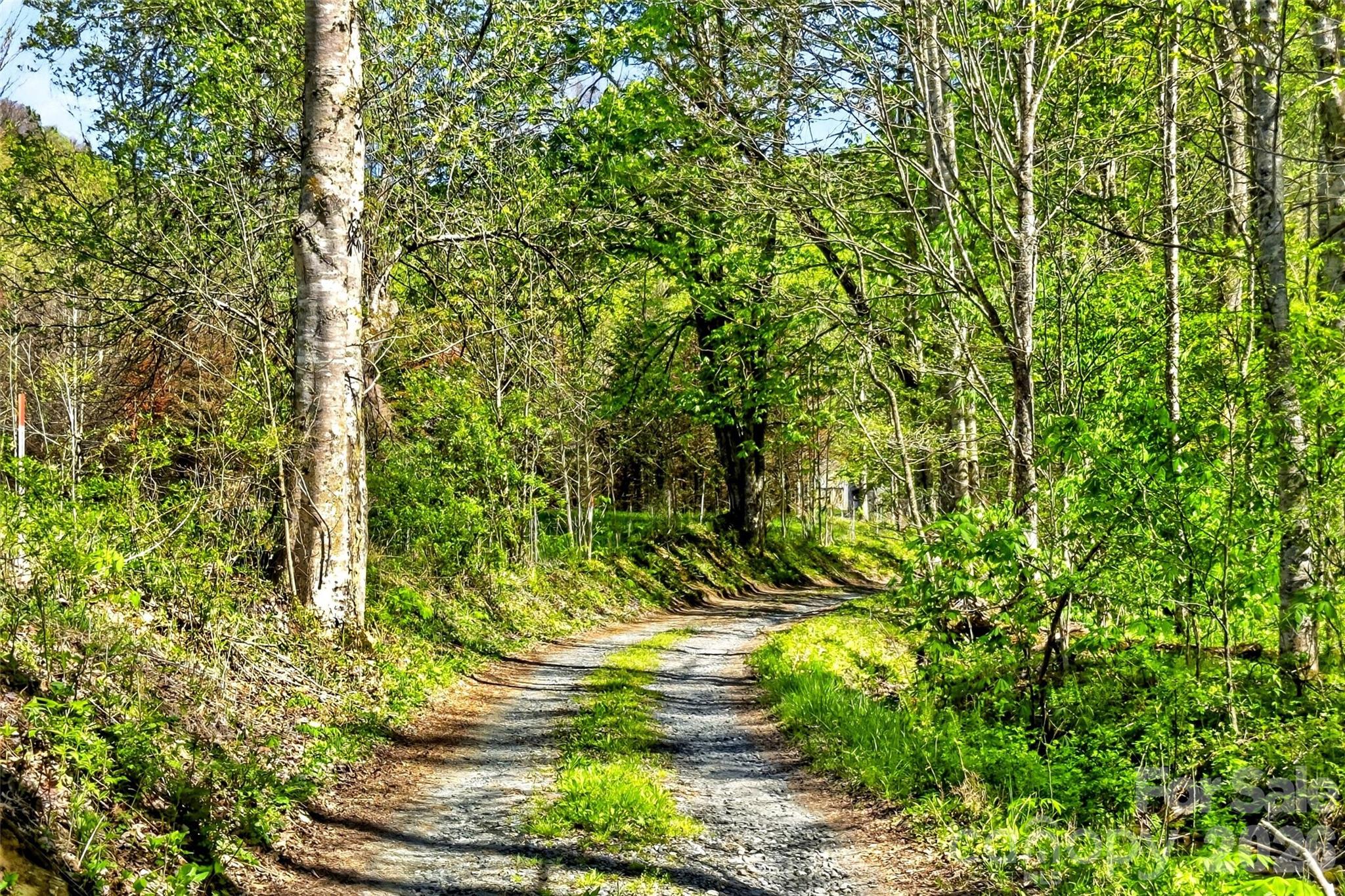 488 Cad Campbell Road Bakersville, NC 28705 - Photo 37 of 39