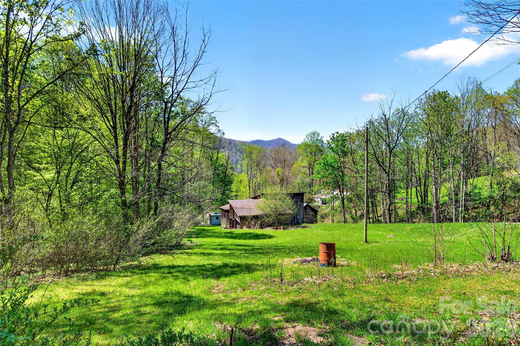 488 Cad Campbell Road Bakersville, NC 28705 - Photo 6 of 39