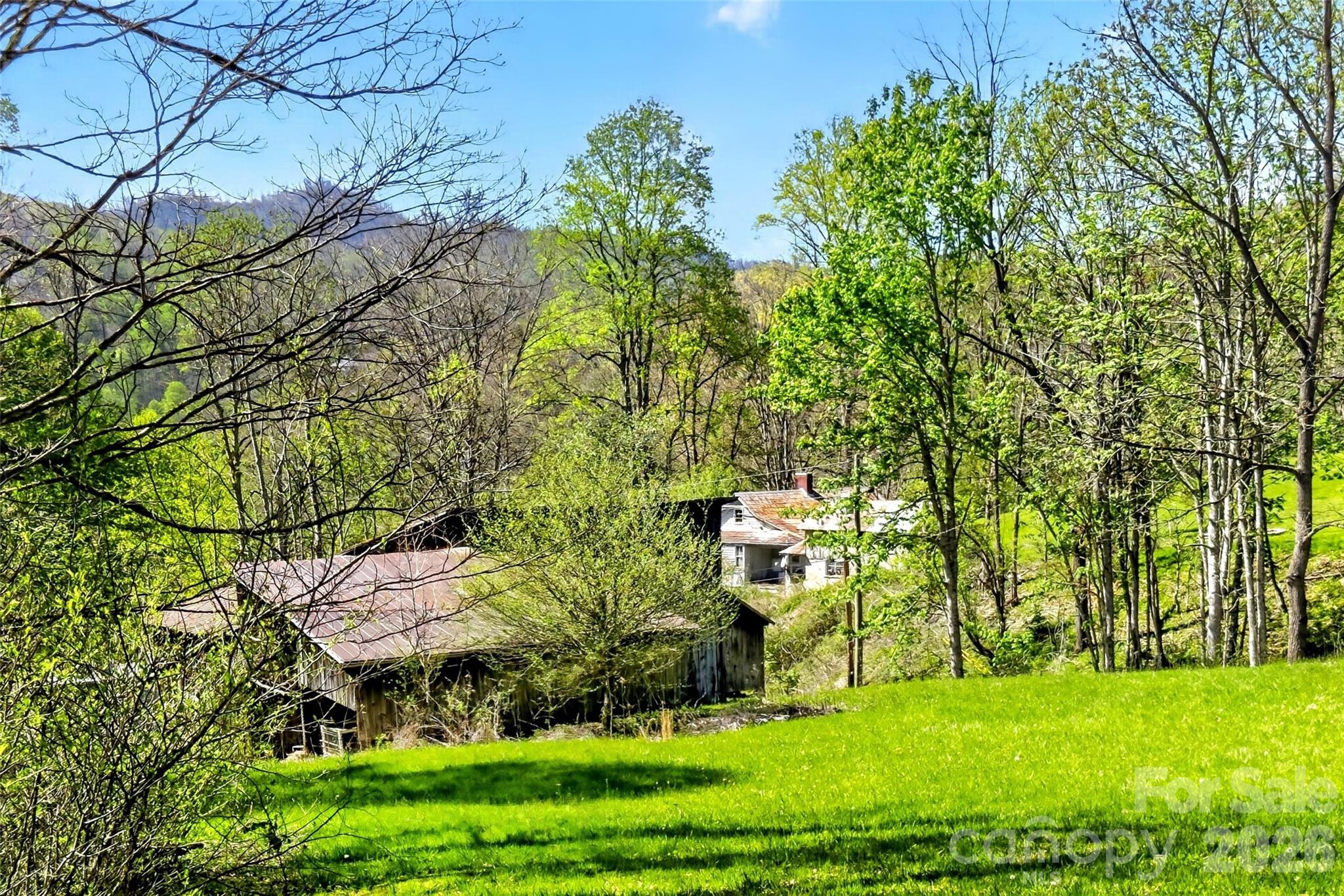 488 Cad Campbell Road Bakersville, NC 28705 - Photo 7 of 39