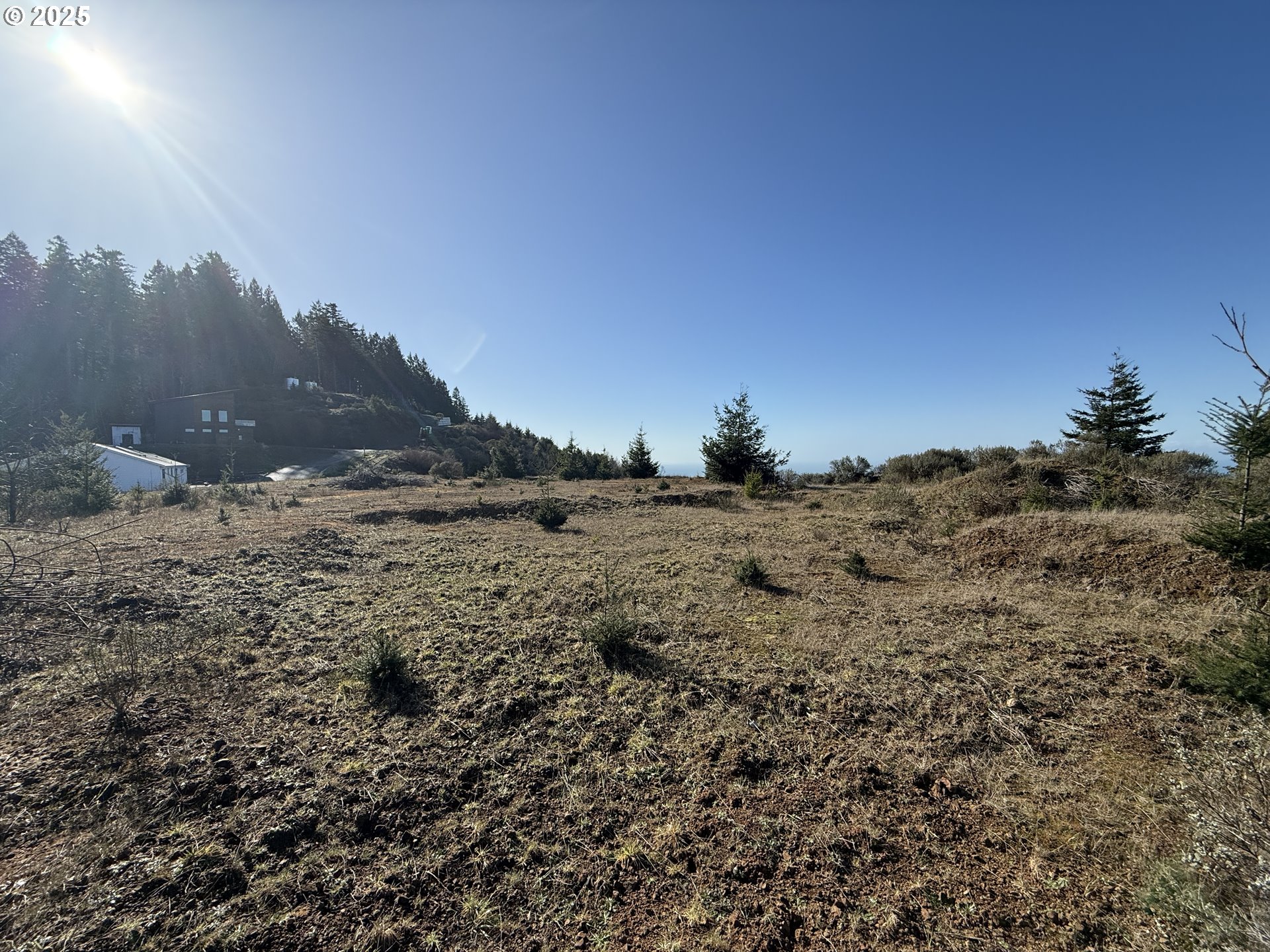 Dale Court Brookings, OR 97415 - Photo 11 of 25 a view of a dry yard with trees