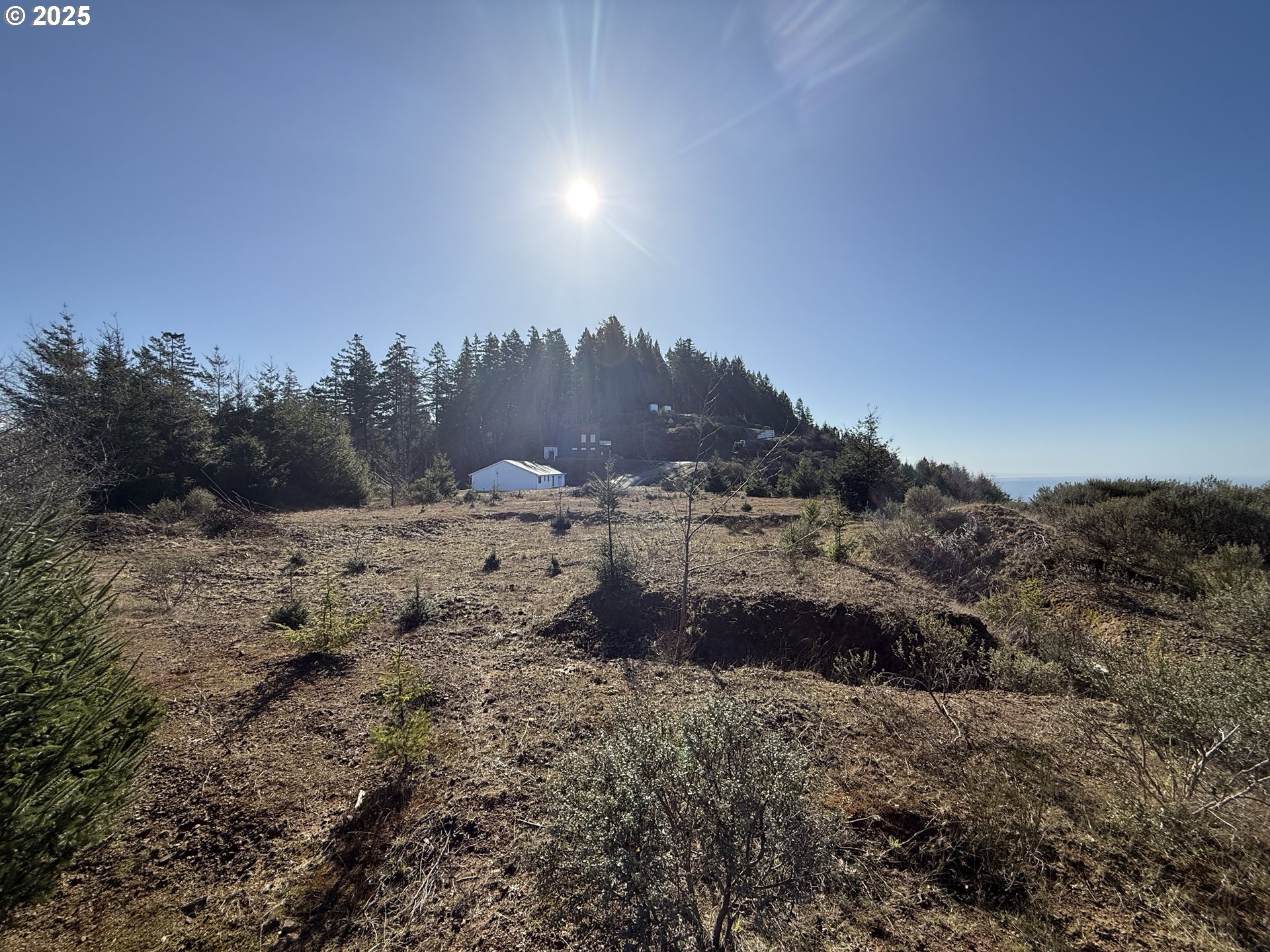Dale Court Brookings, OR 97415 - Photo 12 of 25 a view of a yard