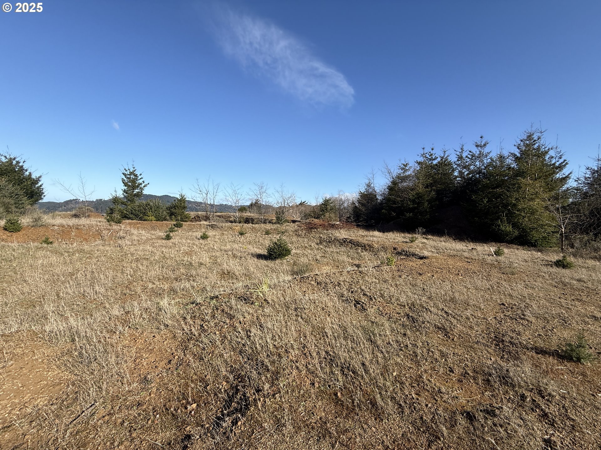 Dale Court Brookings, OR 97415 - Photo 4 of 25 a view of ocean view with beach