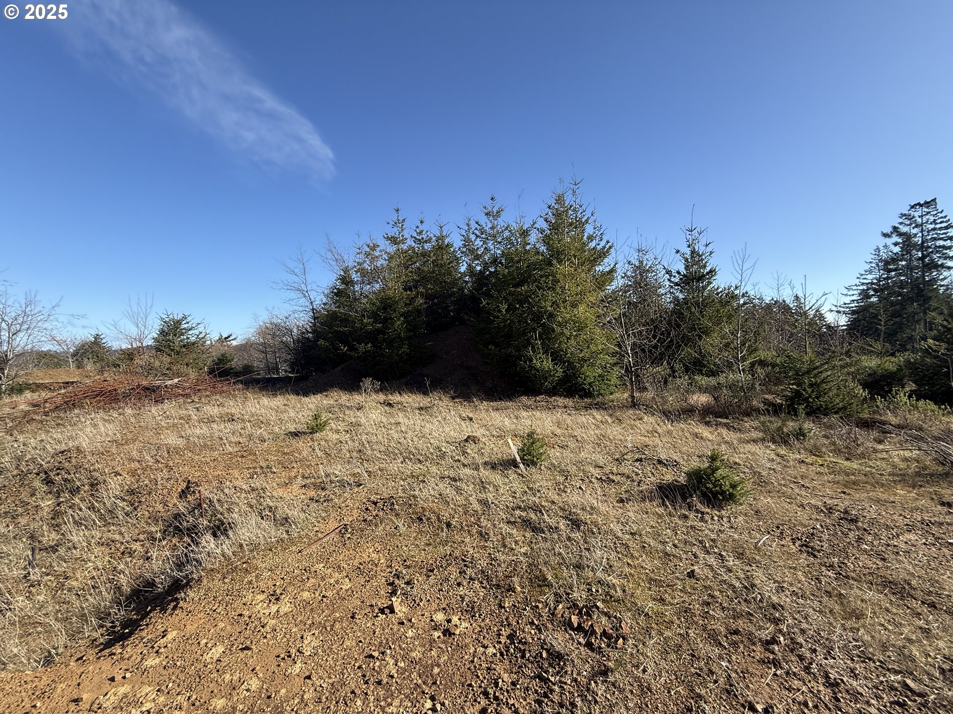 Dale Court Brookings, OR 97415 - Photo 5 of 25 a view of outdoor space and trees
