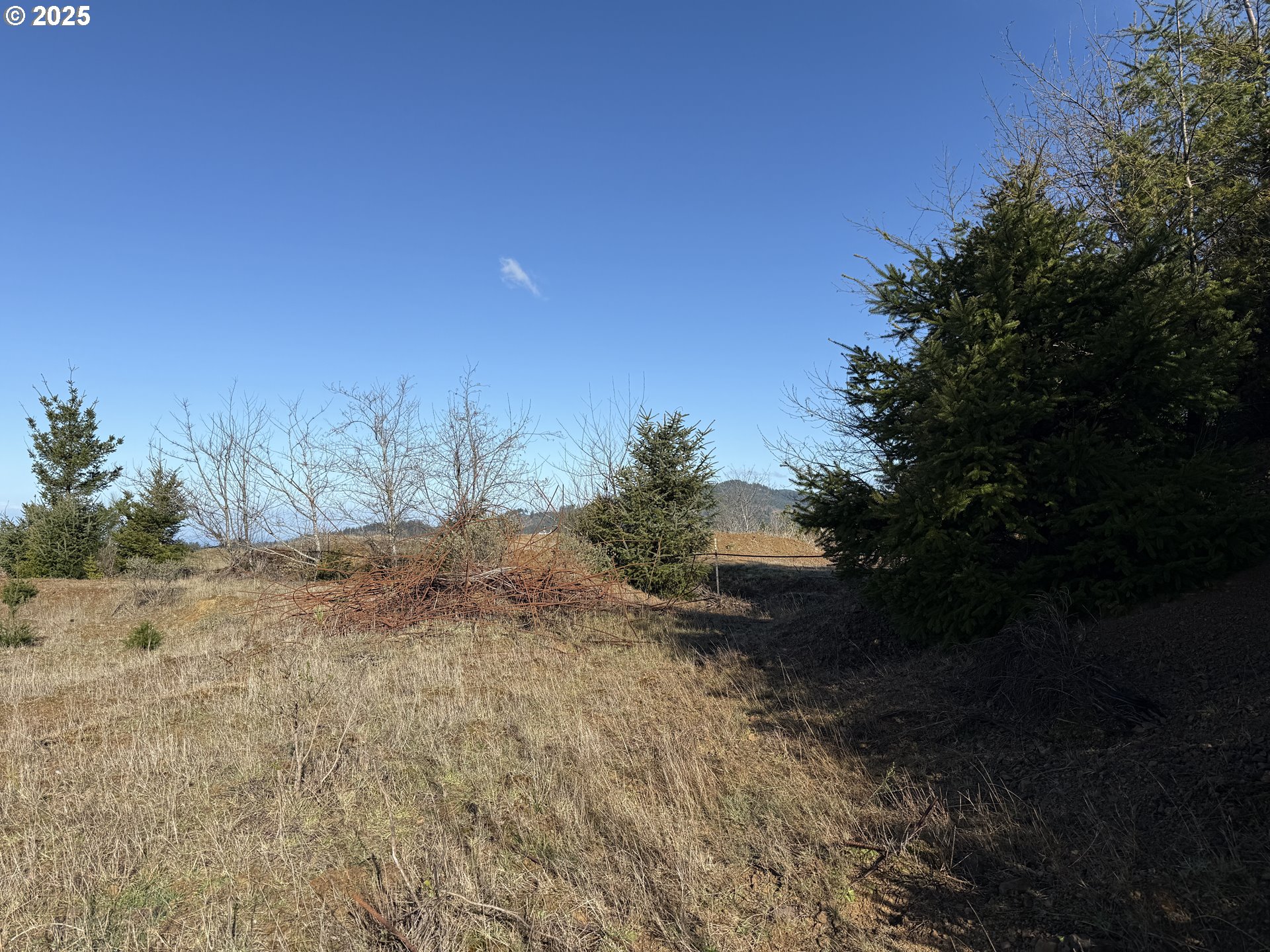 Dale Court Brookings, OR 97415 - Photo 9 of 25 a view of dirt field with trees in the background