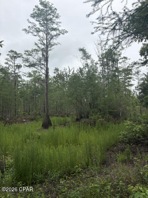 2435 Douglas Pond Road Marianna, FL 32446 - Photo 3 of 10
