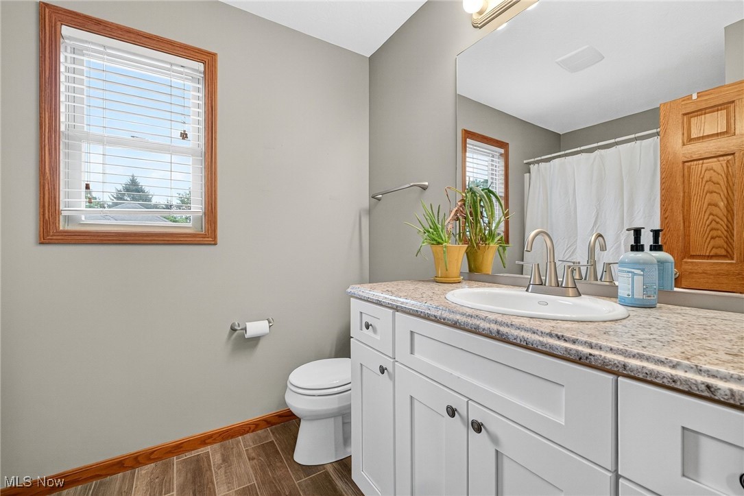 35748 Mills Road Avon, OH 44011 - Photo 27 of 44 Bathroom featuring vanity, wood finished floors, and a shower with curtain