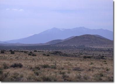 43056 Alpine Ranch Flagstaff, AZ 86004 - Photo 1 of 1 Primary Photo