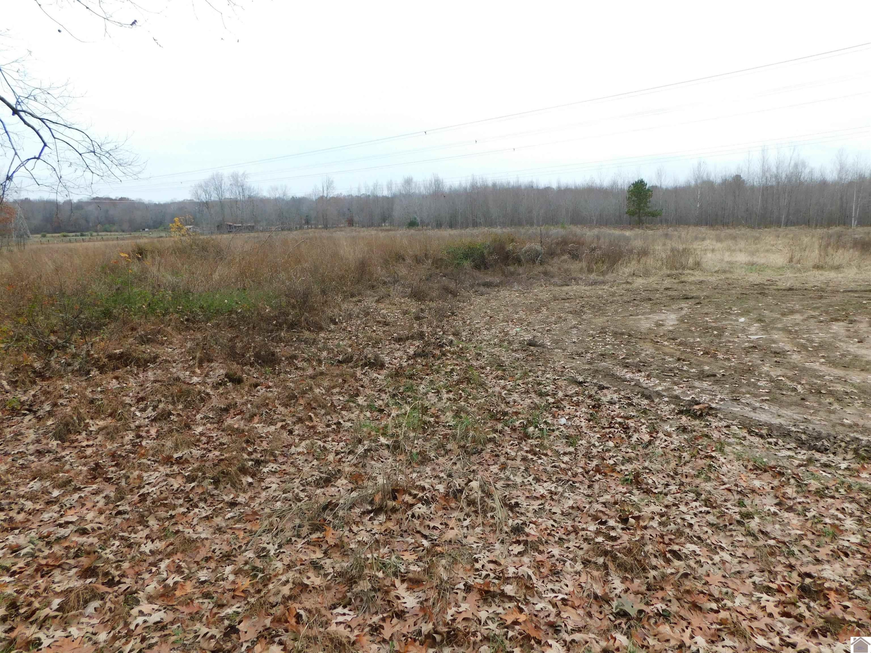 0 Lawson Johnson Road Benton, KY 42025 - Photo 1 of 5 Photo 1