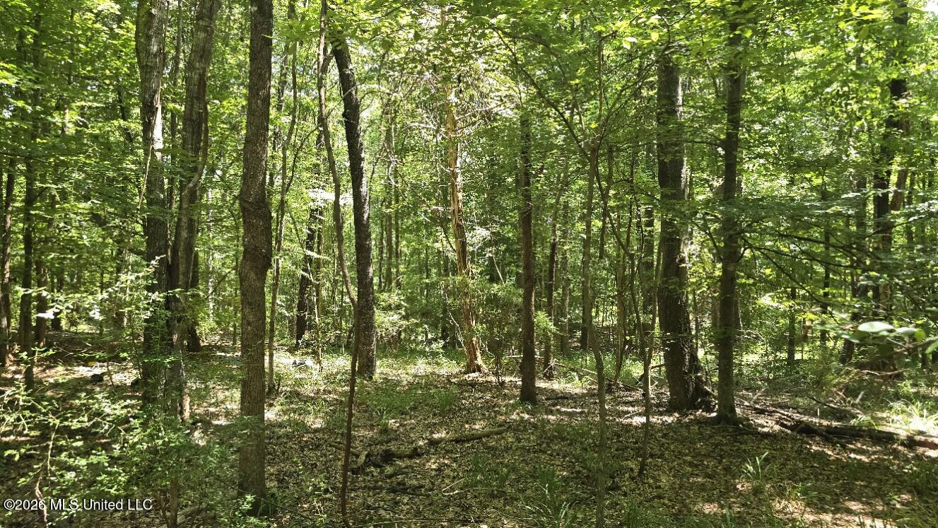 3995 Choctaw Road Brookhaven, MS 39601 - Photo 24 of 73 20260709_114110