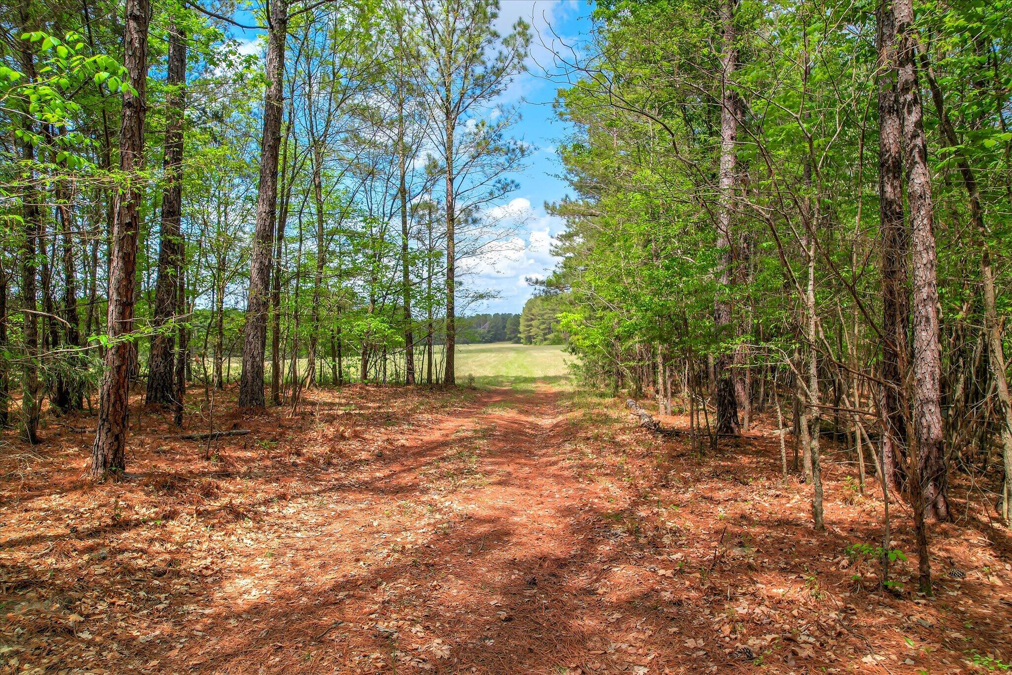 0 Ralph Goolsby Road Lincolnton, GA 30817 - Photo 35 of 48 06-106