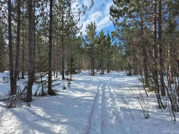 $50,000 | 40-acres Off County Cv Road, Champion, MI 49814