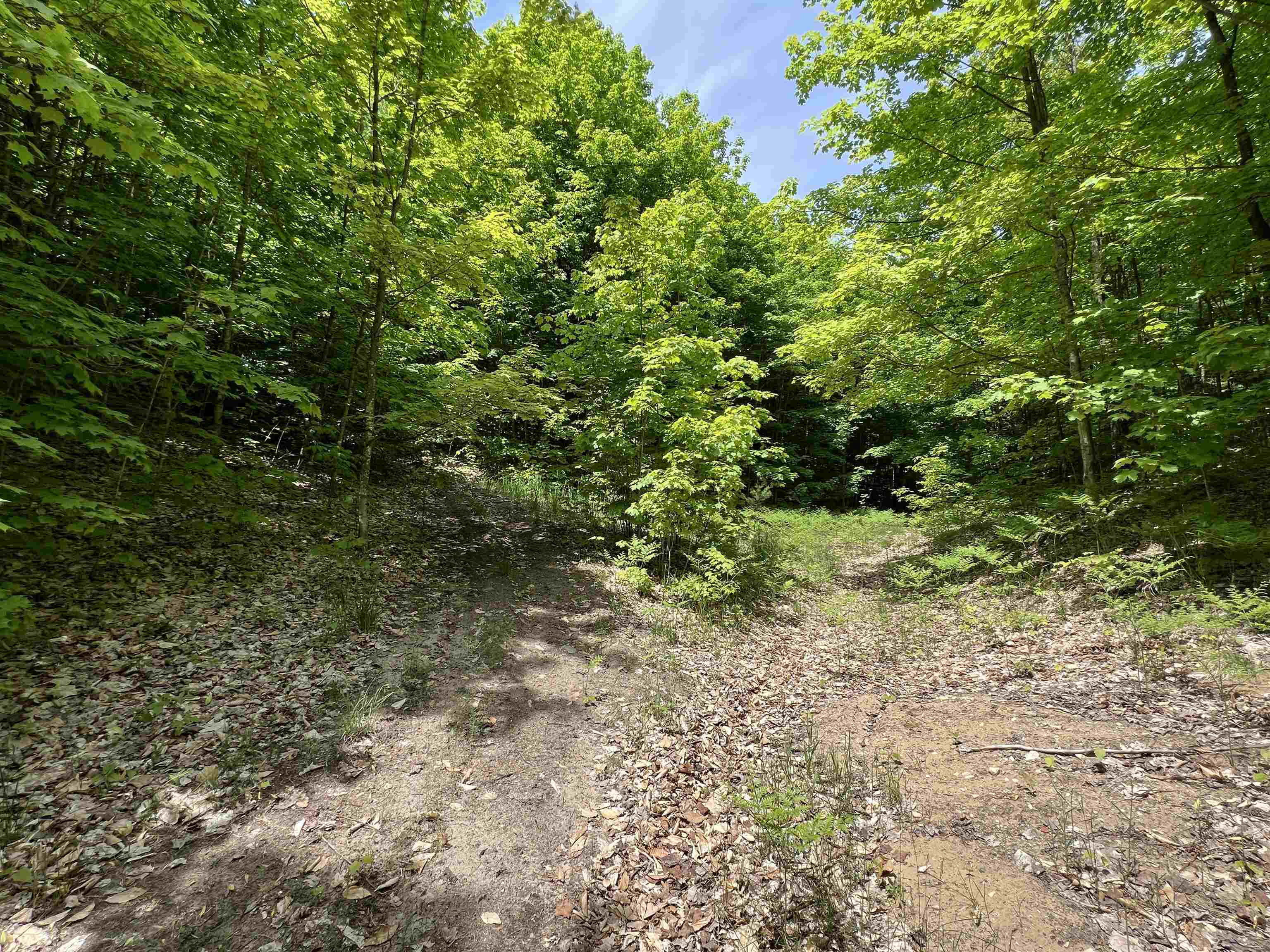 1120 Overhill Road Northwest Alden, MI 49612 - Photo 28 of 35 Gallery Image 28