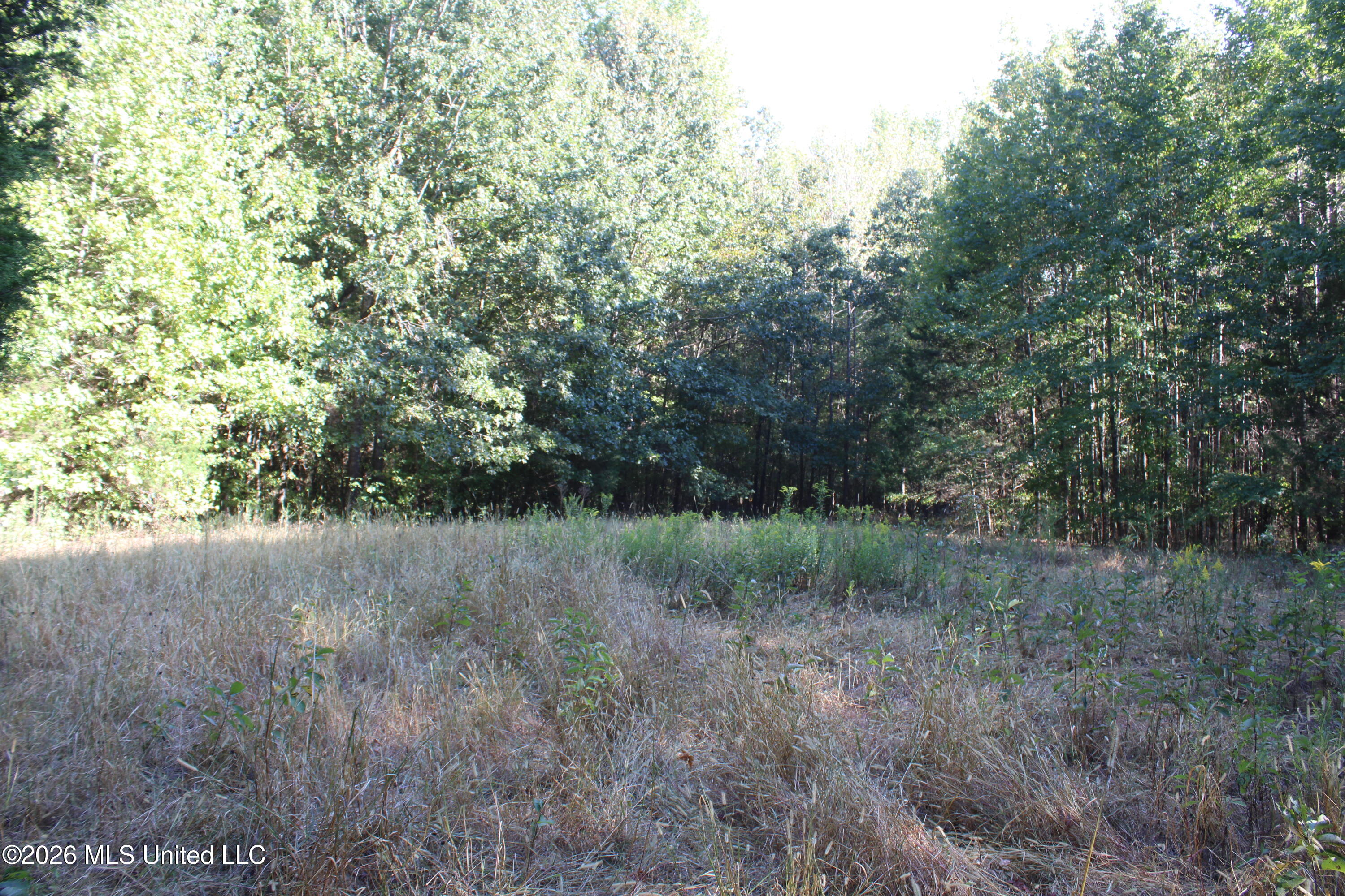 15 Tulane Road Nesbit, MS 38651 - Photo 25 of 64 IMG_8240