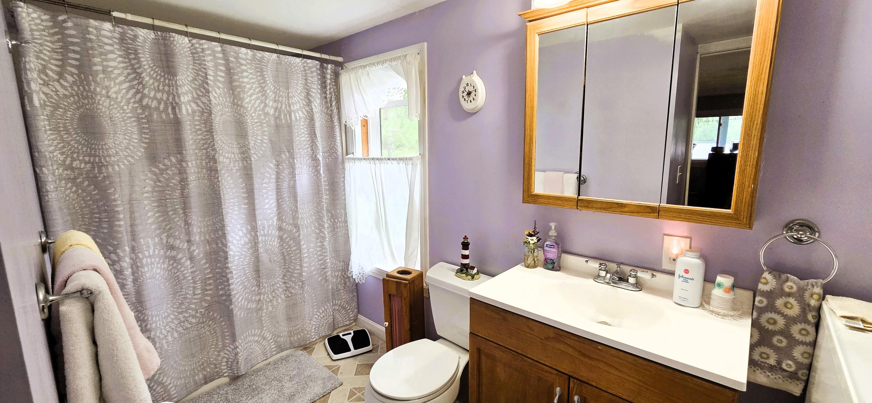 83 Brooks Pond Road Corinna, ME 04928 - Photo 48 of 80 Primary bath 2