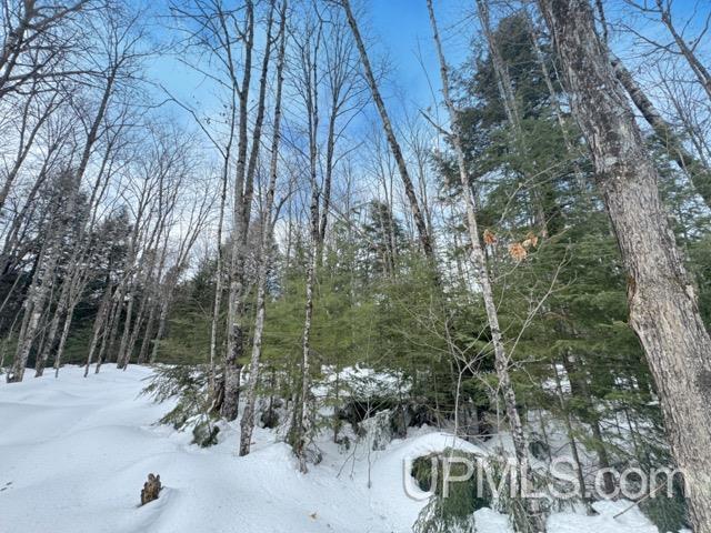 Lot 7 West Tamarack Lake Road Watersmeet, MI 49969 - Photo 1 of 11
