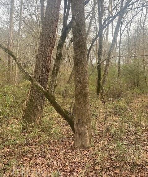 0 Jack Pittman Road Monroe, GA 30656 - Photo 7 of 12