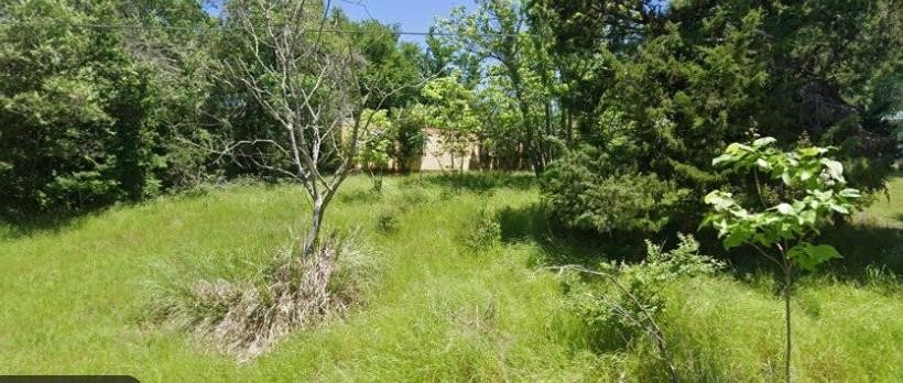 543 Center Street Buffalo, TX 75831 - Photo 1 of 4 a view of a garden