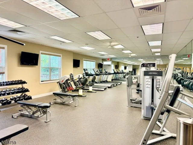 a palm tree sitting in front of a house with a yard