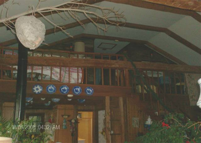 124 Gray Road Mayfield, NY 12117 - Photo 4 of 12 Photo 4