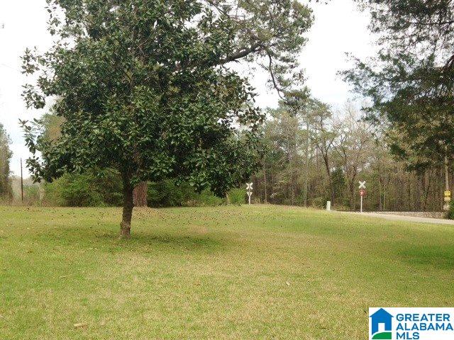 14022 Milldale Road Brookwood, AL 35444 - Photo 11 of 11