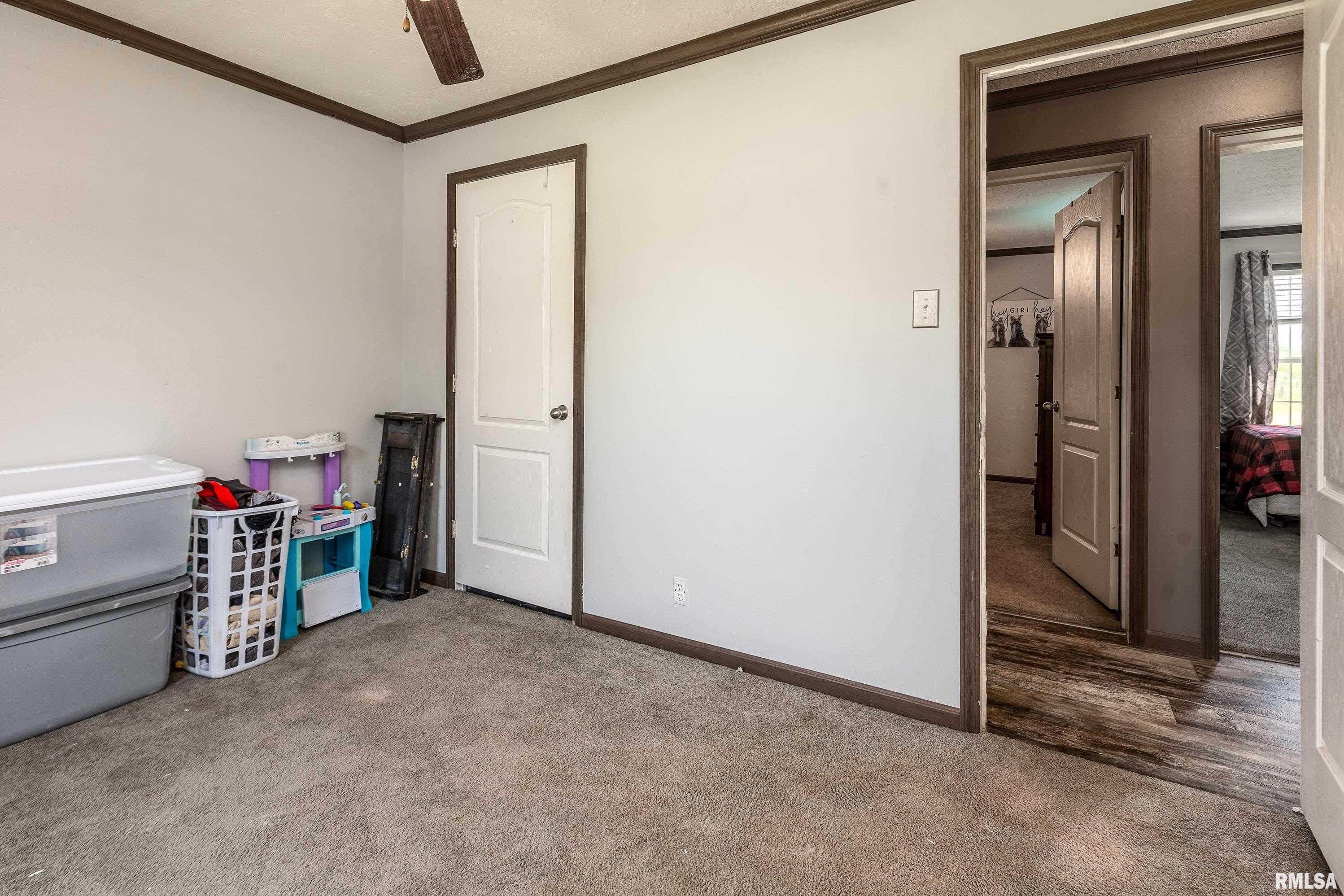 18057 Dwina Road Thompsonville, IL 62890 - Photo 23 of 49