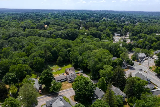 an aerial view of a forest with houses